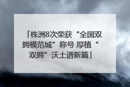 株洲8次荣获“全国双拥模范城”称号 厚植“双拥”沃土谱新篇