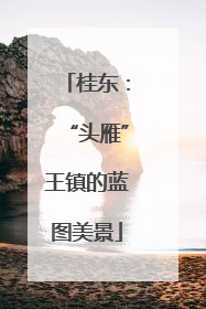 桂东：“头雁”王镇的蓝图美景