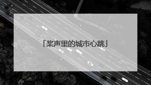 桨声里的城市心跳