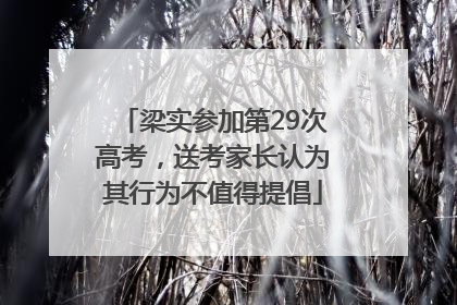 梁实参加第29次高考，送考家长认为其行为不值得提倡