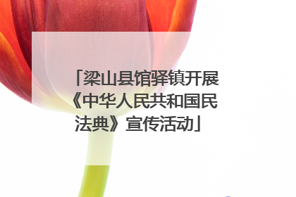 梁山县馆驿镇开展《中华人民共和国民法典》宣传活动