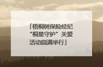 梧桐树保险经纪“桐星守护”关爱活动圆满举行