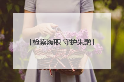 检察履职 守护朱鹮