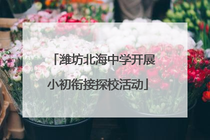 潍坊北海中学开展小初衔接探校活动