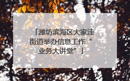 潍坊滨海区大家洼街道举办信息工作“业务大讲堂”