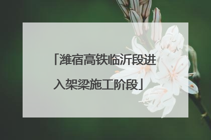 潍宿高铁临沂段进入架梁施工阶段