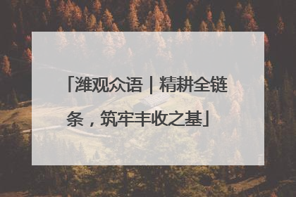 潍观众语｜精耕全链条，筑牢丰收之基