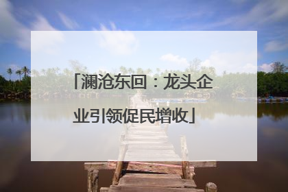 澜沧东回：龙头企业引领促民增收