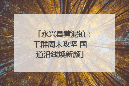 永兴县黄泥镇：干群周末攻坚 国道沿线焕新颜