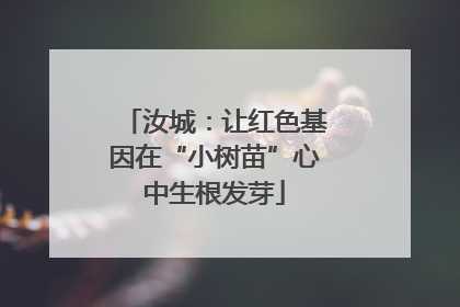 汝城：让红色基因在“小树苗”心中生根发芽