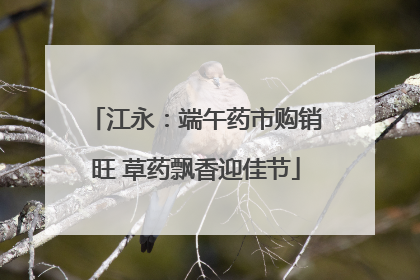 江永：端午药市购销旺 草药飘香迎佳节
