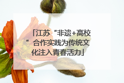 江苏“非遗+高校”合作实践为传统文化注入青春活力