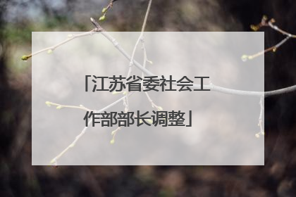 江苏省委社会工作部部长调整