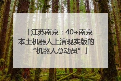 江苏南京：40+南京本土机器人上演现实版的“机器人总动员”