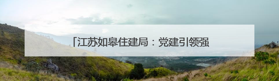江苏如皋住建局：党建引领强作风 “民呼我应”显担当