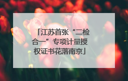 江苏首张“二检合一”专项计量授权证书花落南京