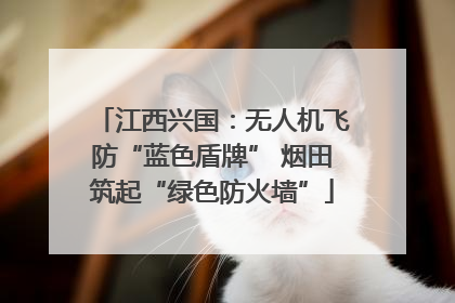 江西兴国：无人机飞防“蓝色盾牌” 烟田筑起“绿色防火墙”