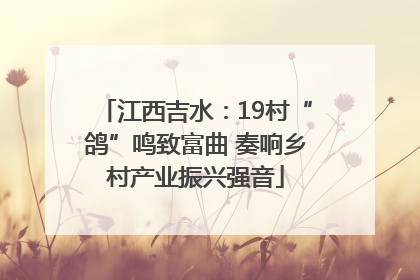 江西吉水：19村“鸽”鸣致富曲 奏响乡村产业振兴强音