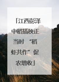 江西彭泽中稻插秧正当时 “稻虾共作”促农增收