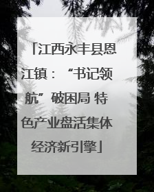 江西永丰县恩江镇：“书记领航”破困局 特色产业盘活集体经济新引擎