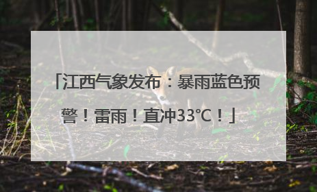 江西气象发布：暴雨蓝色预警！雷雨！直冲33℃！