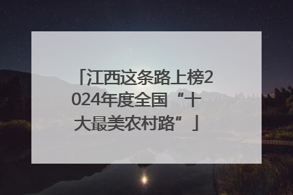江西这条路上榜2024年度全国“十大最美农村路”