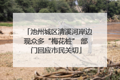 池州城区清溪河岸边现众多“梅花桩” 部门回应市民关切
