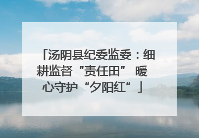 汤阴县纪委监委：细耕监督“责任田” 暖心守护“夕阳红”