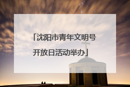 沈阳市青年文明号开放日活动举办