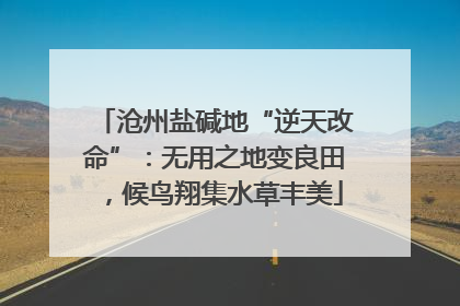沧州盐碱地“逆天改命”：无用之地变良田，候鸟翔集水草丰美