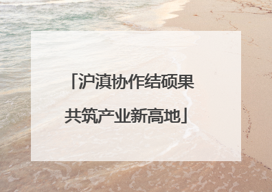 沪滇协作结硕果 共筑产业新高地