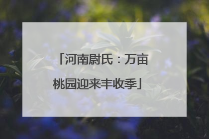 河南尉氏：万亩桃园迎来丰收季