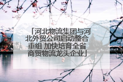 河北物流集团与河北外贸公司启动整合重组 加快培育全省商贸物流龙头企业