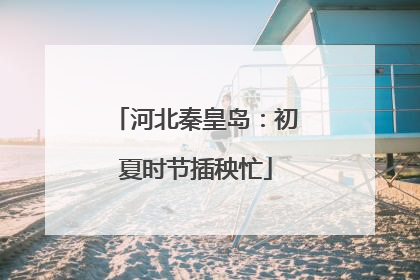 河北秦皇岛：初夏时节插秧忙