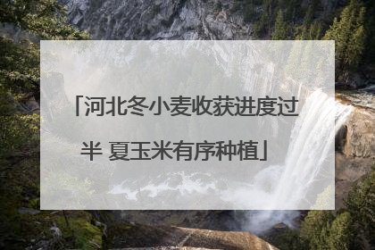 河北冬小麦收获进度过半 夏玉米有序种植