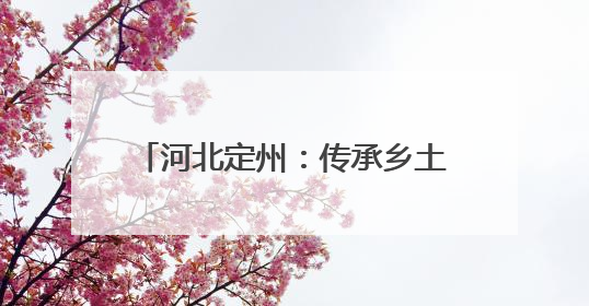 河北定州：传承乡土文脉 赋能乡村振兴