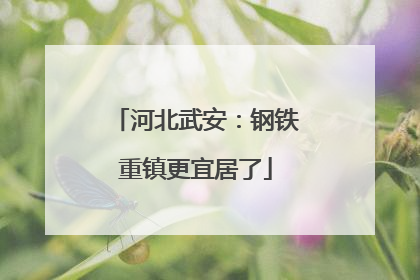 河北武安：钢铁重镇更宜居了