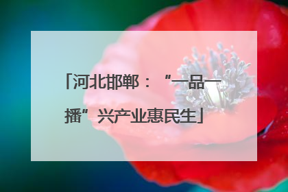 河北邯郸：“一品一播”兴产业惠民生