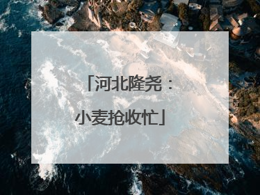 河北隆尧：小麦抢收忙