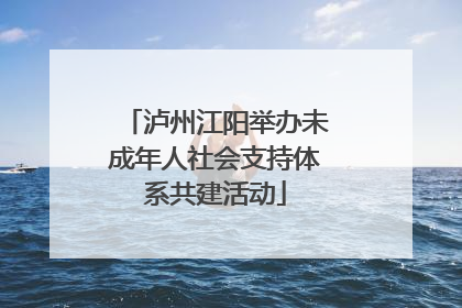 泸州江阳举办未成年人社会支持体系共建活动