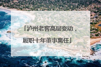 泸州老窖高层变动，履职十年董事离任