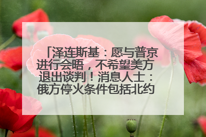 泽连斯基：愿与普京进行会晤，不希望美方退出谈判！消息人士：俄方停火条件包括北约“书面”保证不东扩