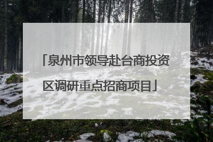 泉州市领导赴台商投资区调研重点招商项目
