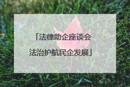 法律助企座谈会 法治护航民企发展