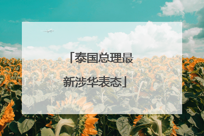 泰国总理最新涉华表态