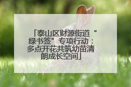 泰山区财源街道“绿书签”专项行动：多点开花共筑幼苗清朗成长空间