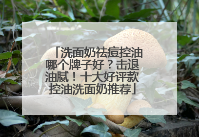 洗面奶祛痘控油哪个牌子好？击退油腻！十大好评款控油洗面奶推荐
