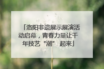 洛阳非遗展示展演活动启幕，青春力量让千年技艺“潮” 起来