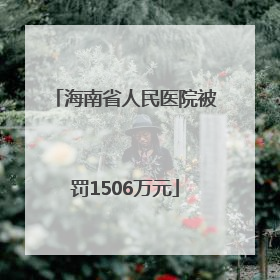 海南省人民医院被罚1506万元