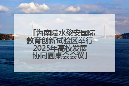 海南陵水黎安国际教育创新试验区举行2025年高校发展协同圆桌会会议